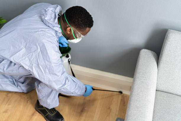 Best Commercial Pest Control  in Lake Ronkonkoma, NY